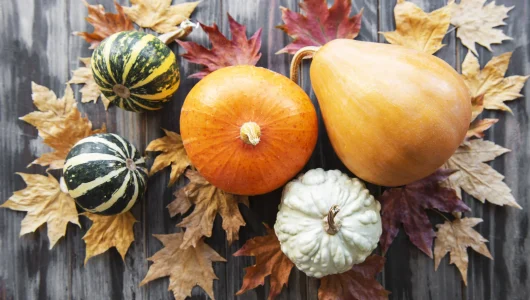 autumn-composition-2023-11-27-04-52-17-utc