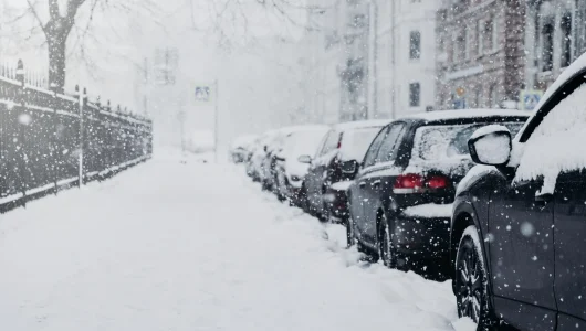 beautiful-city-in-snow-cars-covered-with-snow-sta-2025-03-05-05-22-59-utc
