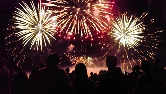 crowd-enjoying-the-explosive-fireworks-at-night-2026-03-25-00-37-45-utc