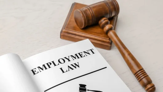 employment-law-book-with-gavel-on-wooden-table-2026-03-05-11-38-58-utc
