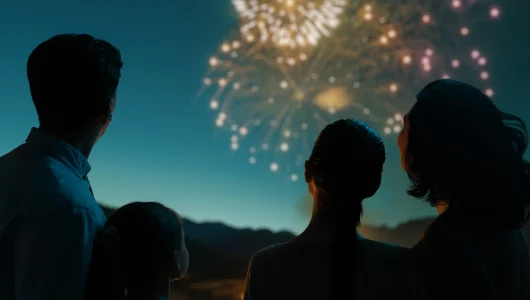 family-watching-fireworks-2025-04-30-08-45-42-utc (1)
