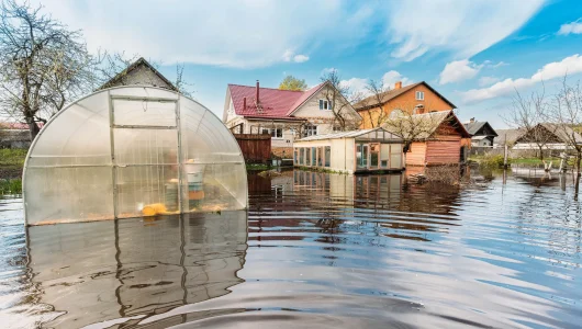 flood