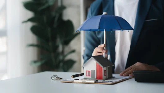 individuals-holding-small-umbrellas-and-model-home-2023-11-27-04-56-20-utc
