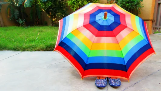 umbrella