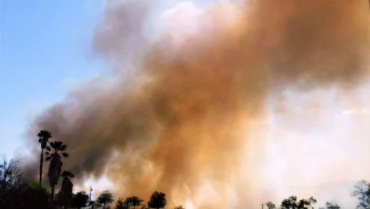 wild-fire-2022-08-01-01-24-05-utc-scaled